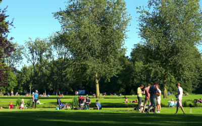 Trees and People